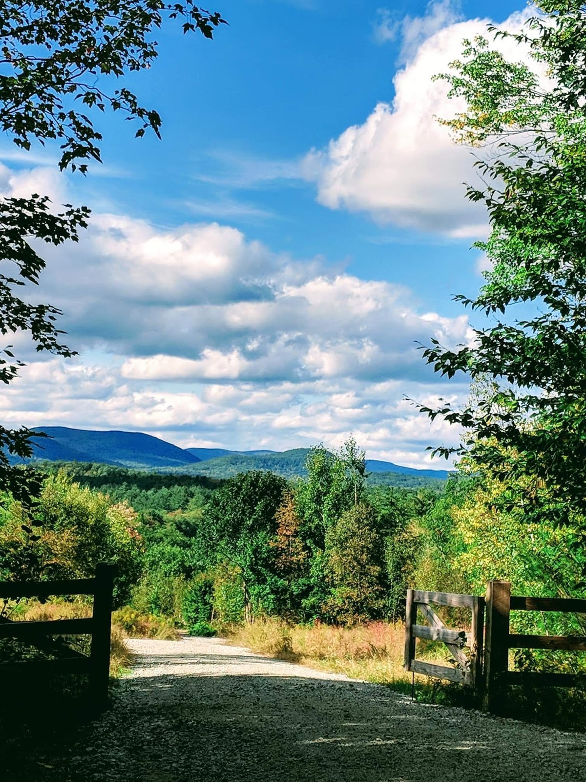 New Hampshire, photo credit Wanda Dube